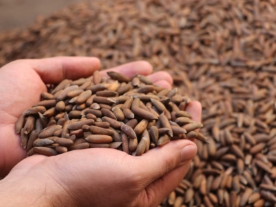 WhatsApp Image 2025-11-17 at 09.19.30_109e25a4