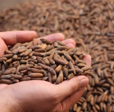 WhatsApp Image 2025-11-17 at 09.19.30_109e25a4