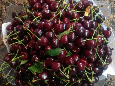 23cd90b43e6cba1bbfa3262cbadb5445